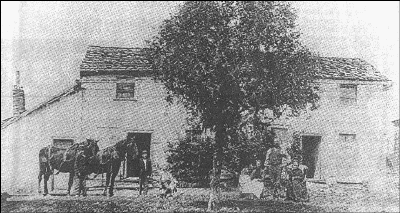 swandersfamilyfarm.gif (151852 bytes)