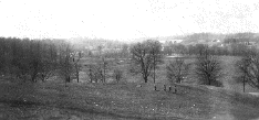 sheeplotchildrenshome.gif (23395 bytes)