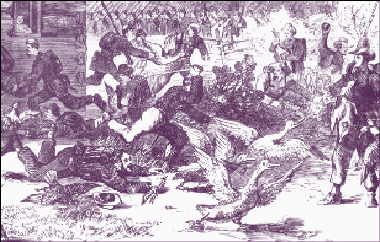 foraging.gif (100733 bytes)