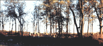 careycemetery.gif (75312 bytes)